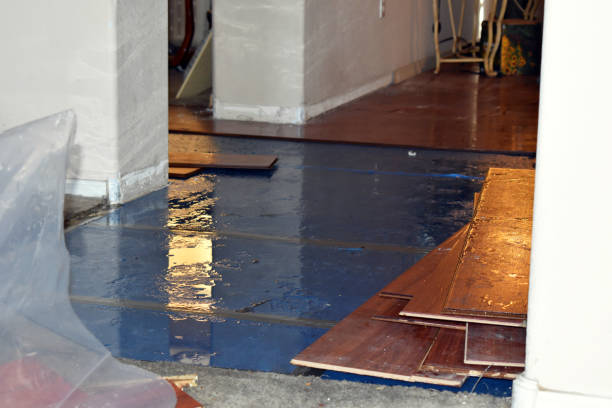 Professional Basement Flood Cleanup technician working in Beachwood, NJ